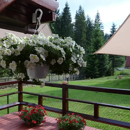 Villa-japonica Bed & Breakfast 3*