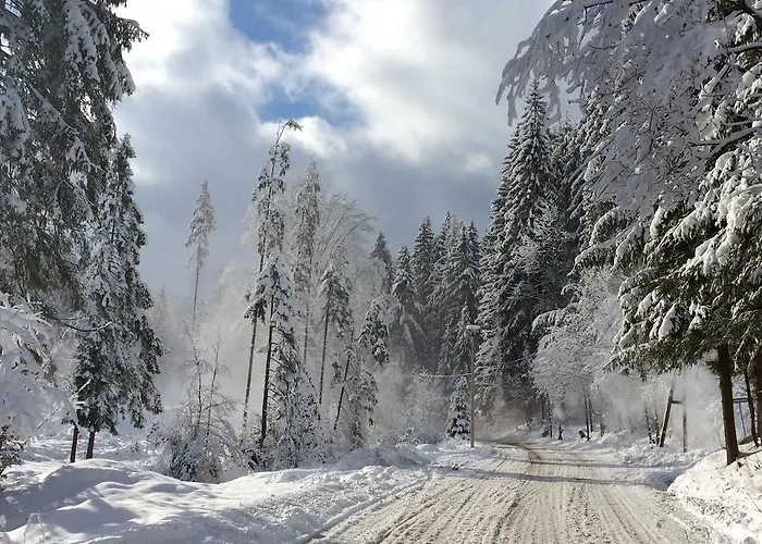 Villa-japonica Wisla