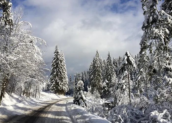 Villa-japonica Bed & Breakfast 3*