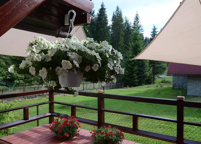 Villa-japonica Bed & Breakfast 3*